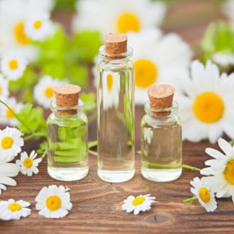 گلاب صادراتی ارگانیک + قیمت ویژه
